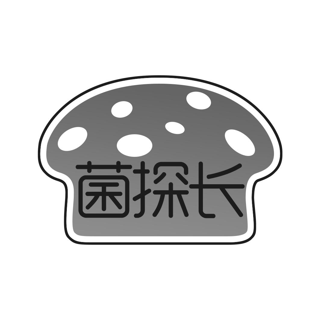 菌探长