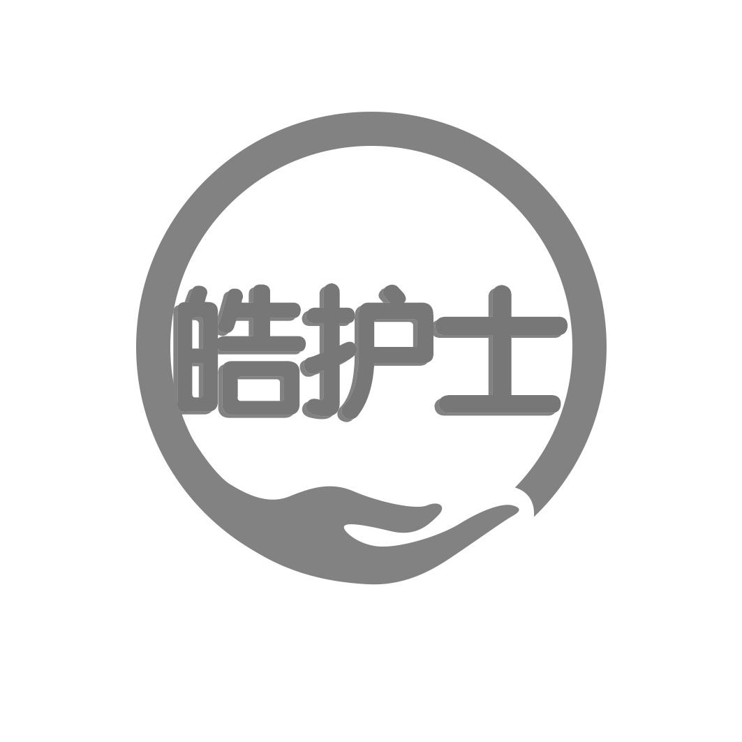 皓护士