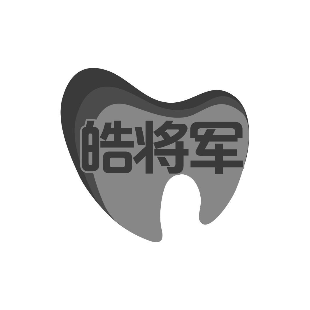 皓将军