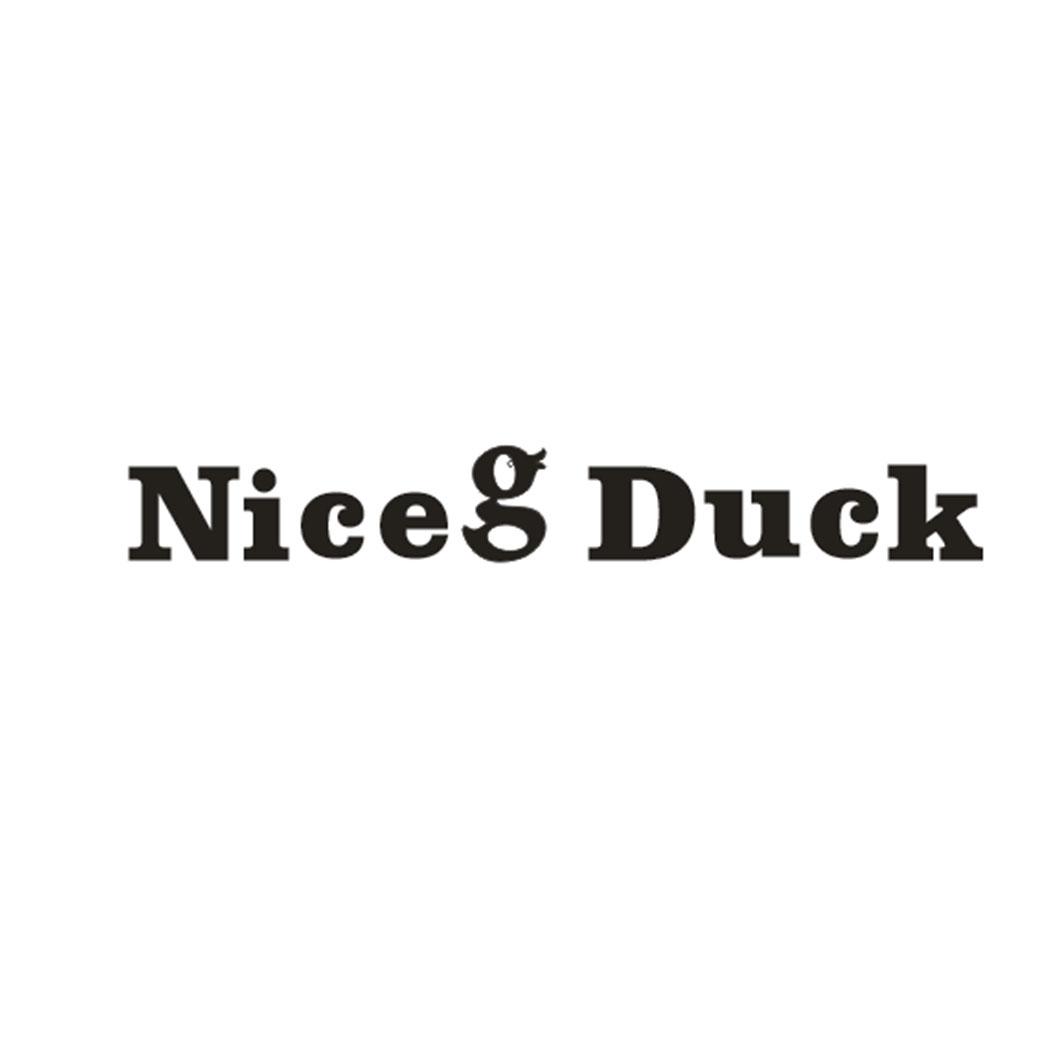 NICE  DUCK