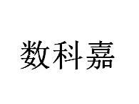 数科嘉