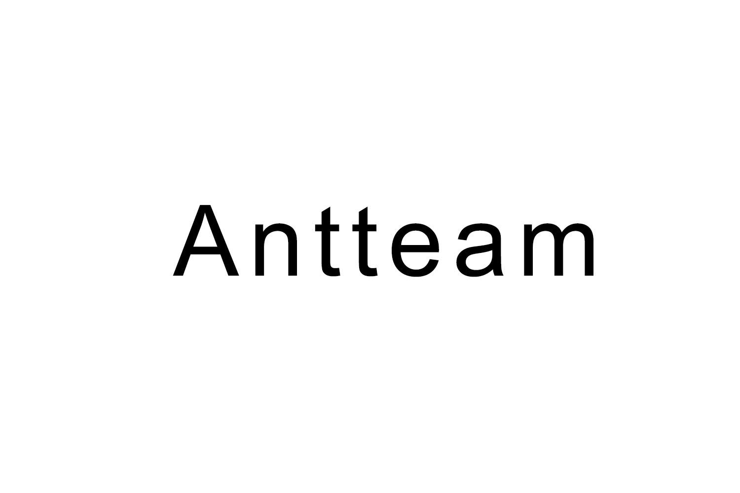 Antteam