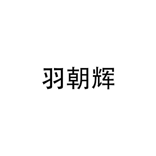 羽朝辉