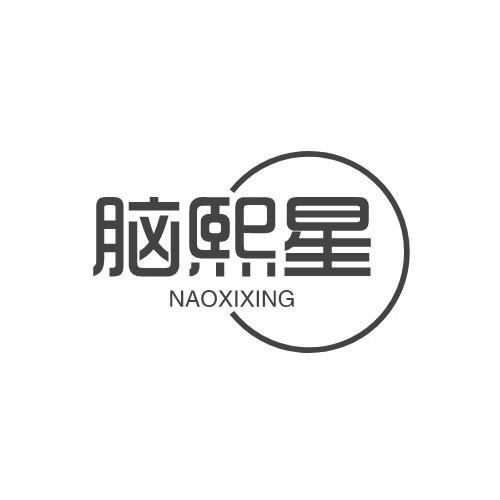 脑熙星NAOXIXING