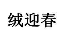 绒迎春