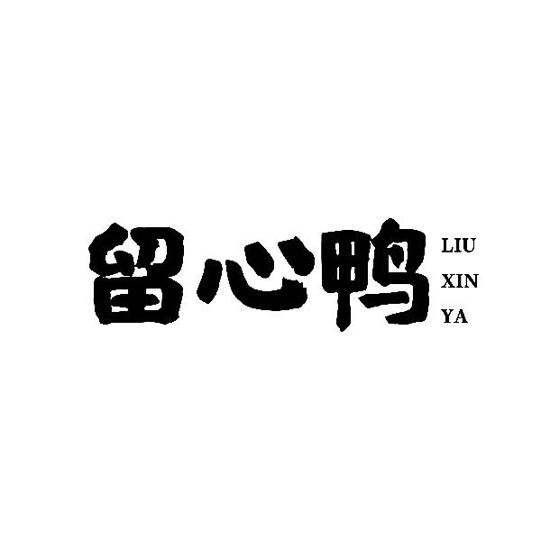 留心鸭