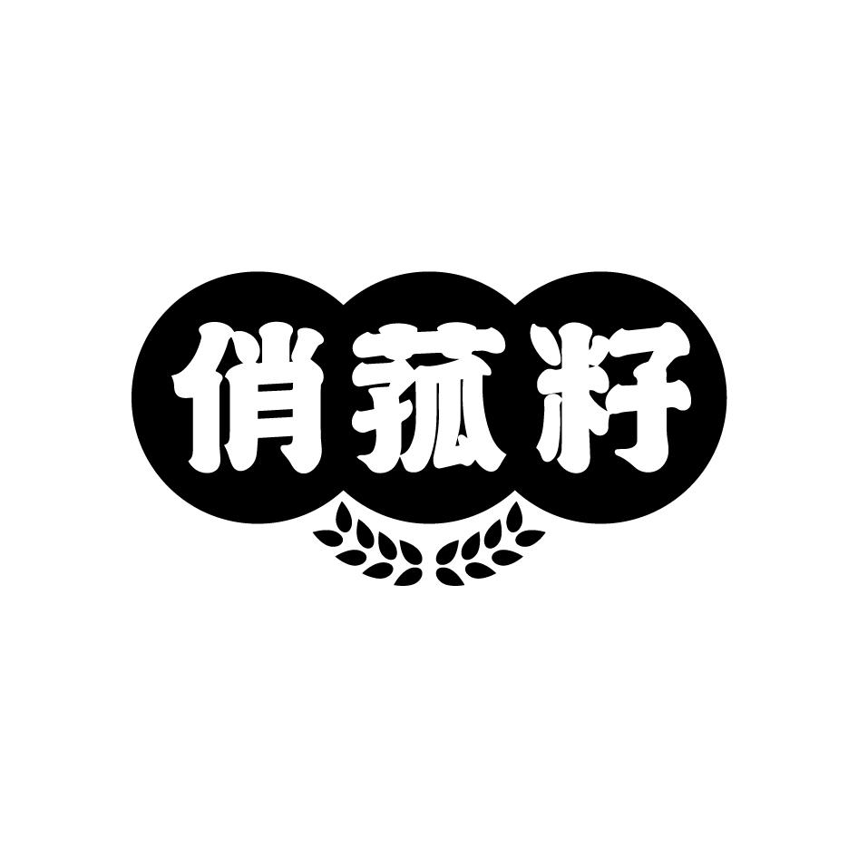 俏菰籽