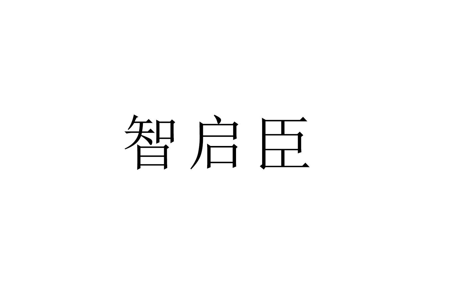 智启臣