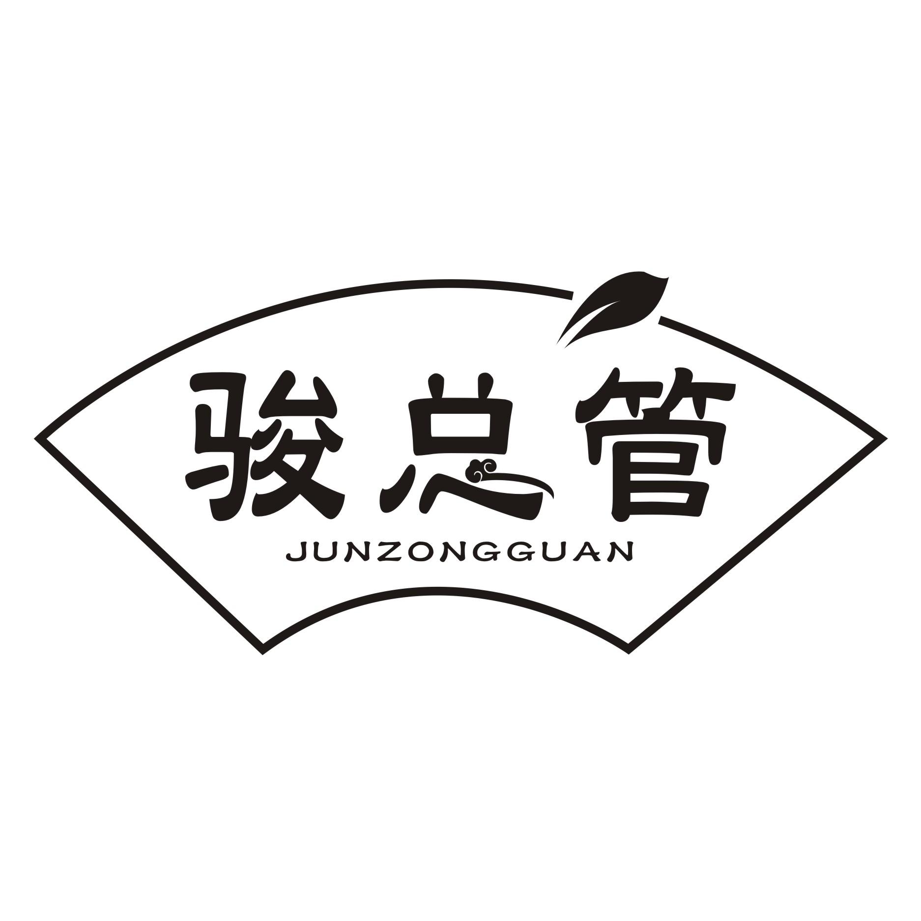 骏总管JUNZONGGUAN