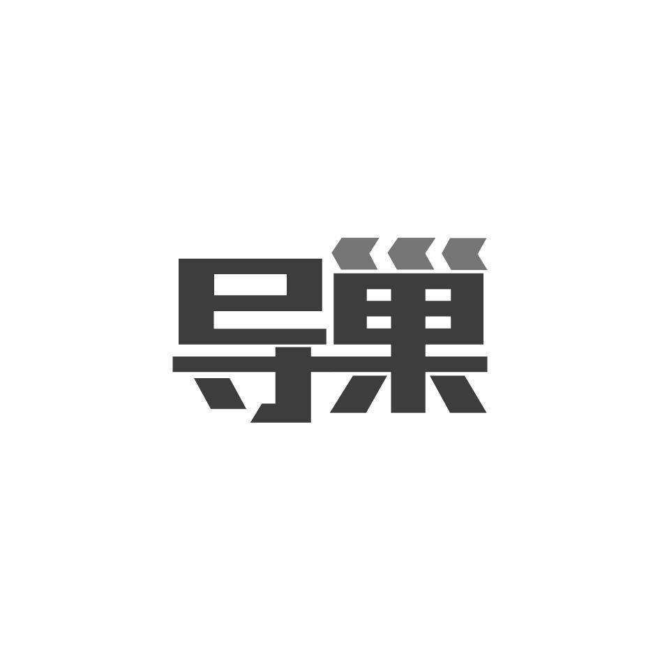 导巢