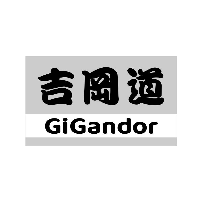 吉冈道
GIGANDOR