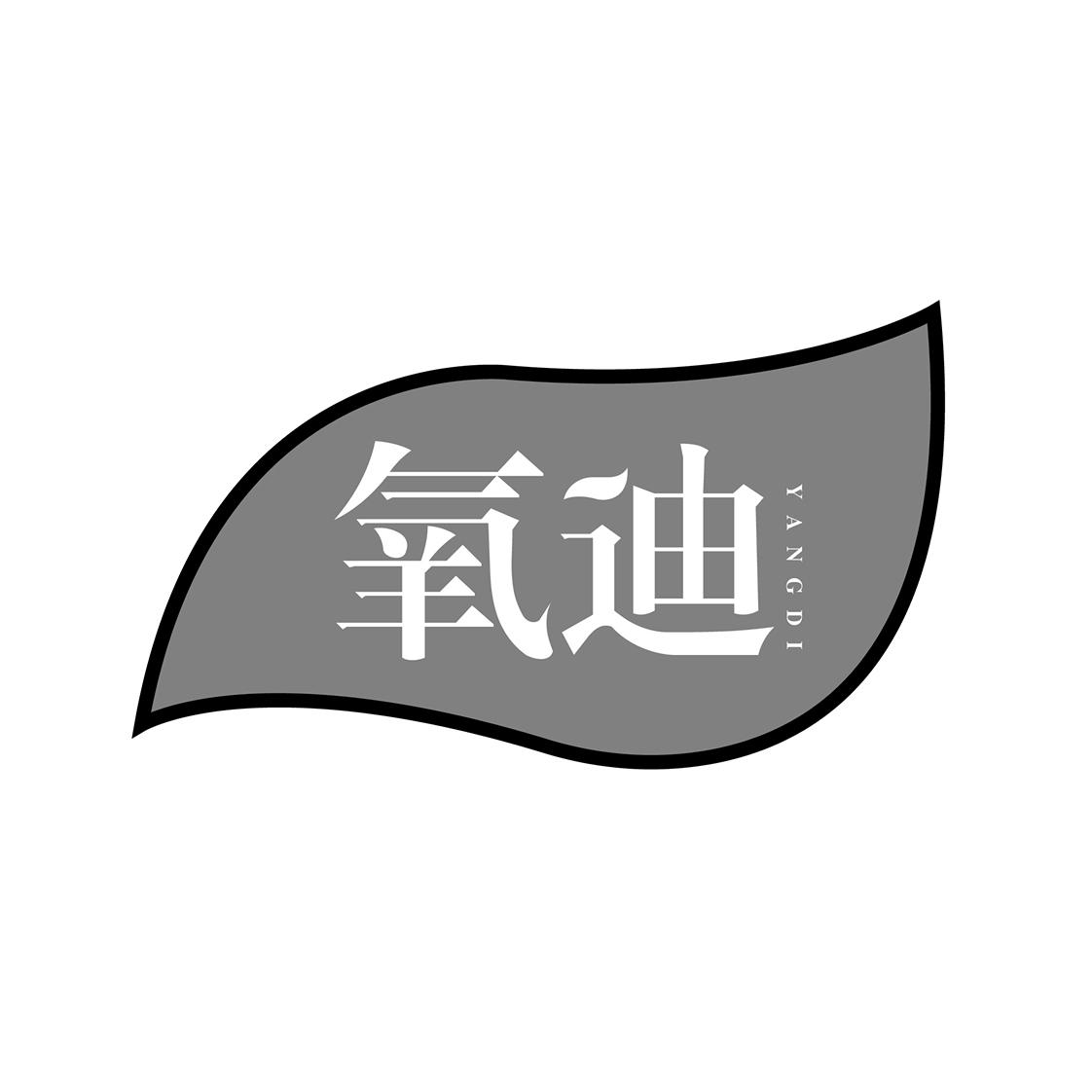 氧迪
