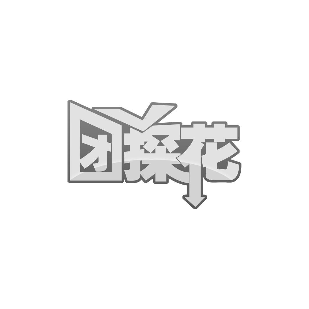 团探花