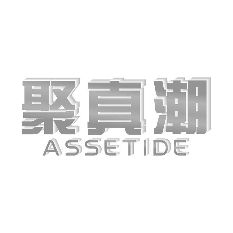 聚真潮ASSETIDE