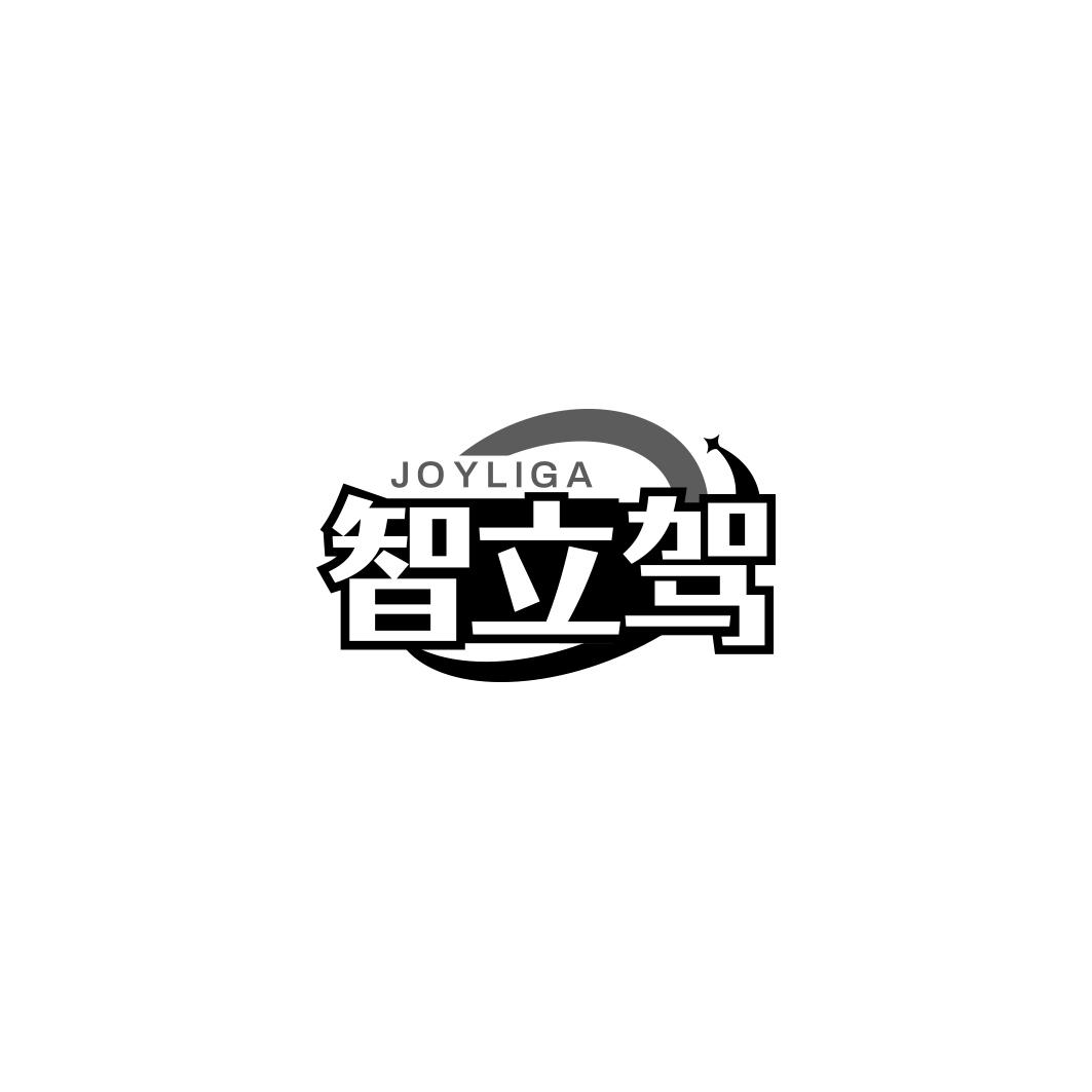 智立驾 JOYLIGA