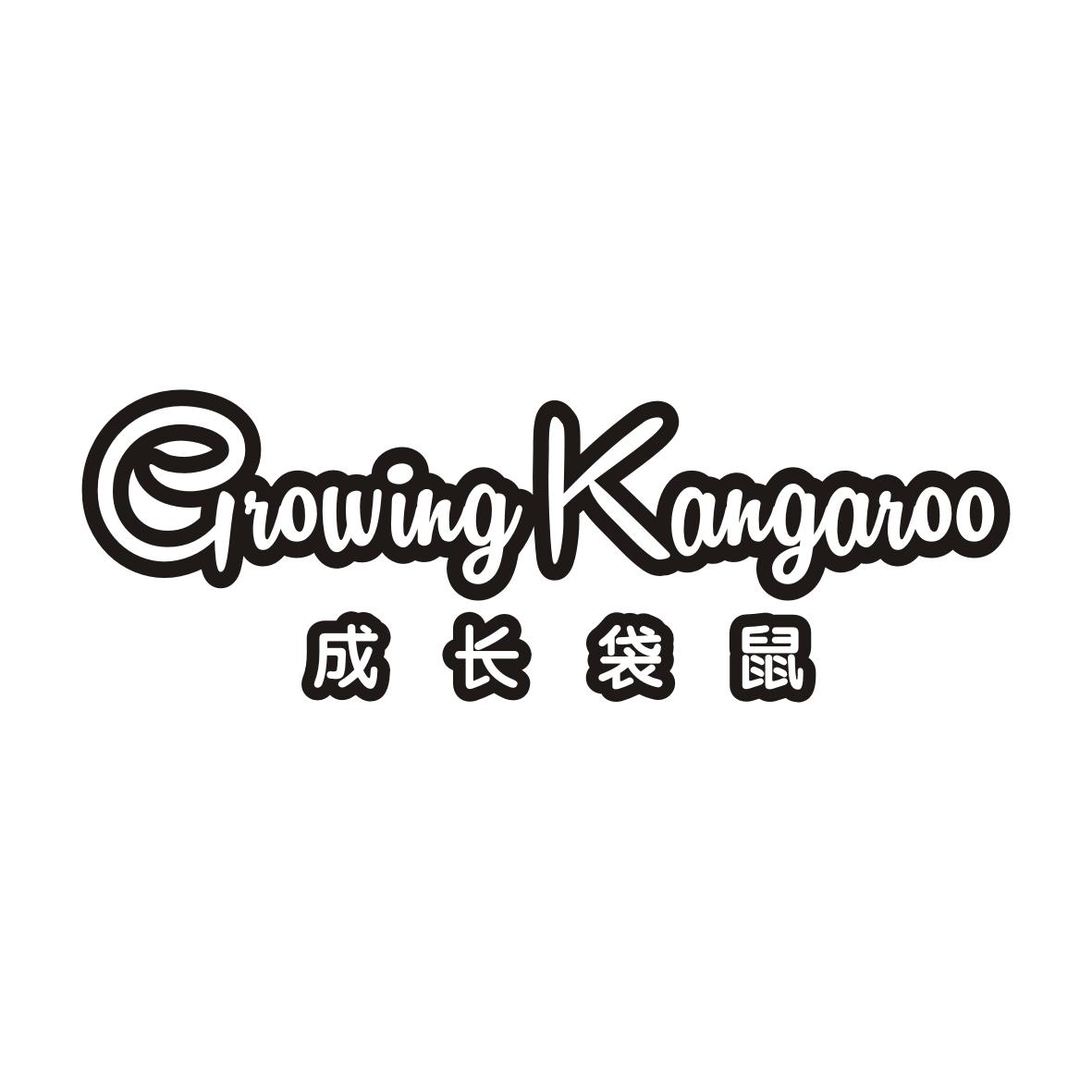成长袋鼠GROWING KANGAROO