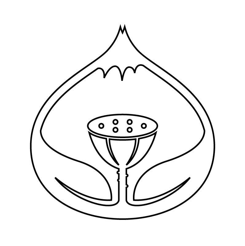  纯图形（荷花）