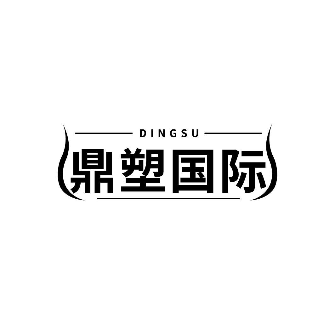 鼎塑国际
DINGSU