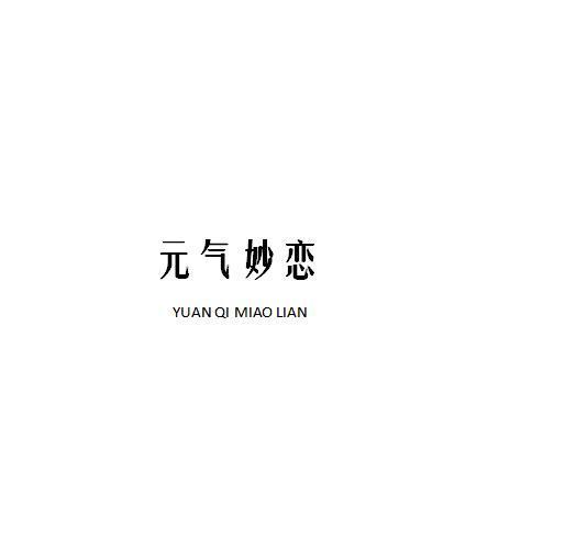 元气妙恋