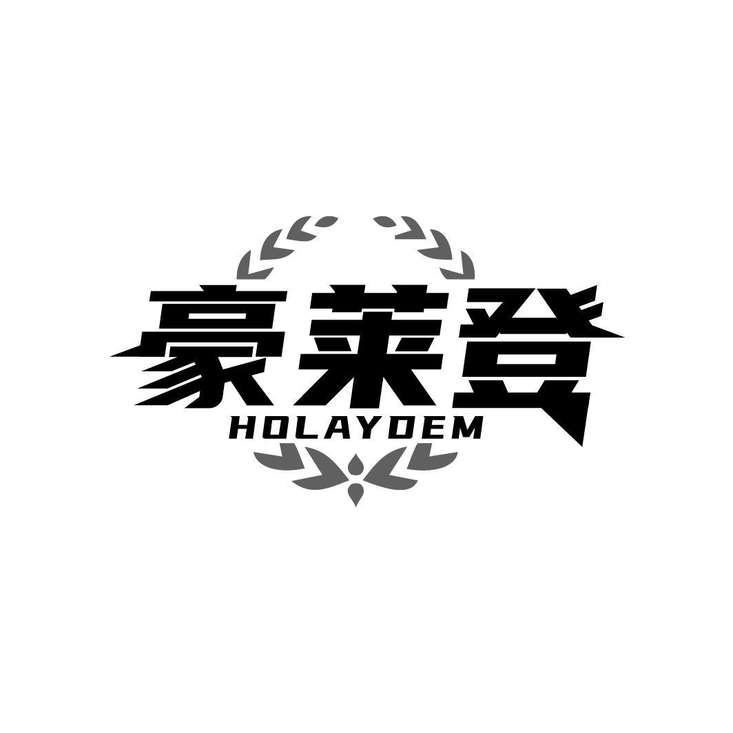 豪莱登 HOLAYDEM