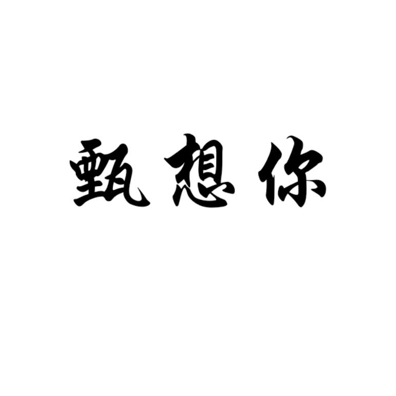甄想你