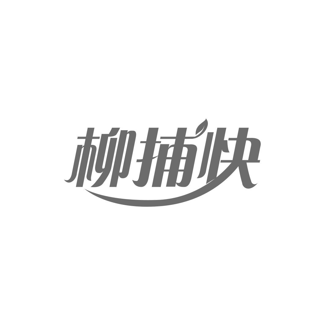 柳捕快