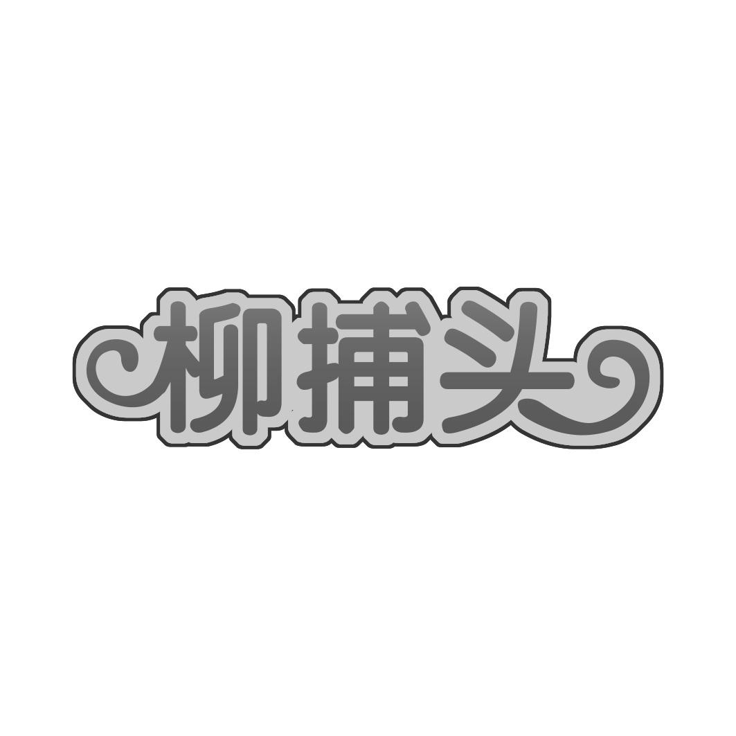 柳捕头