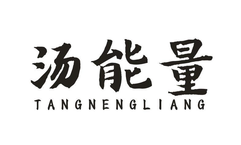 汤能量
