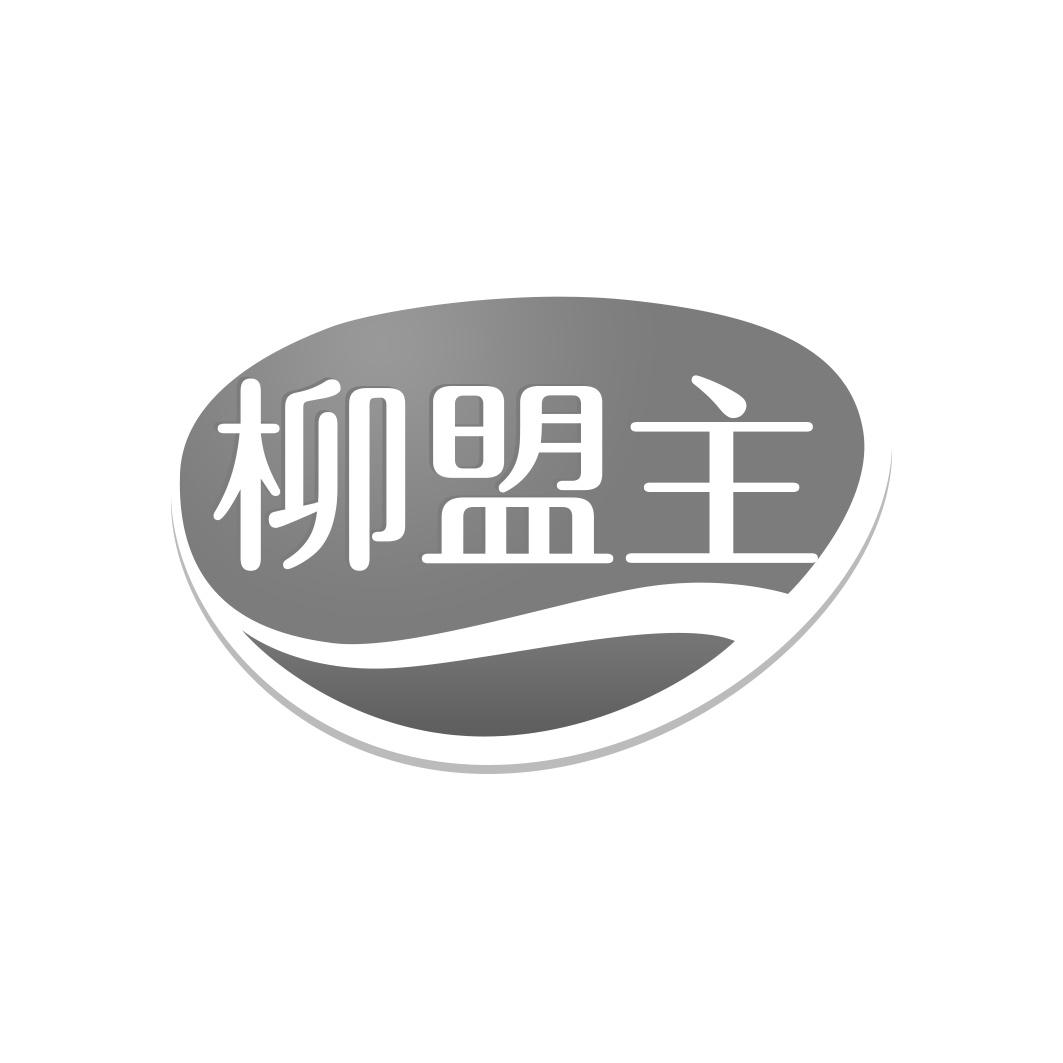 柳盟主