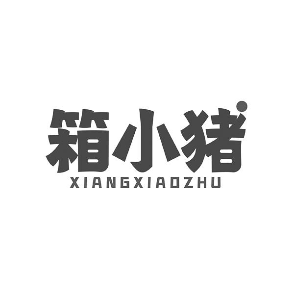 箱小猪XIANGXIAOZHU
