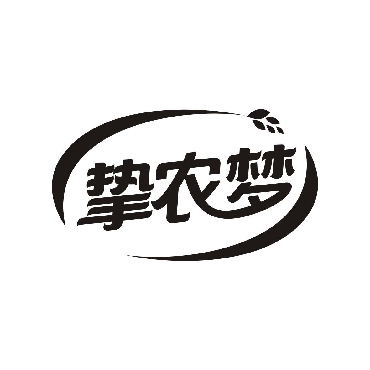 挚农梦