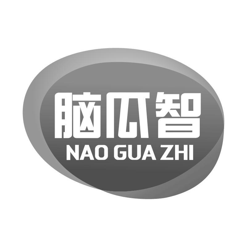 脑瓜智NAOGUAZHI