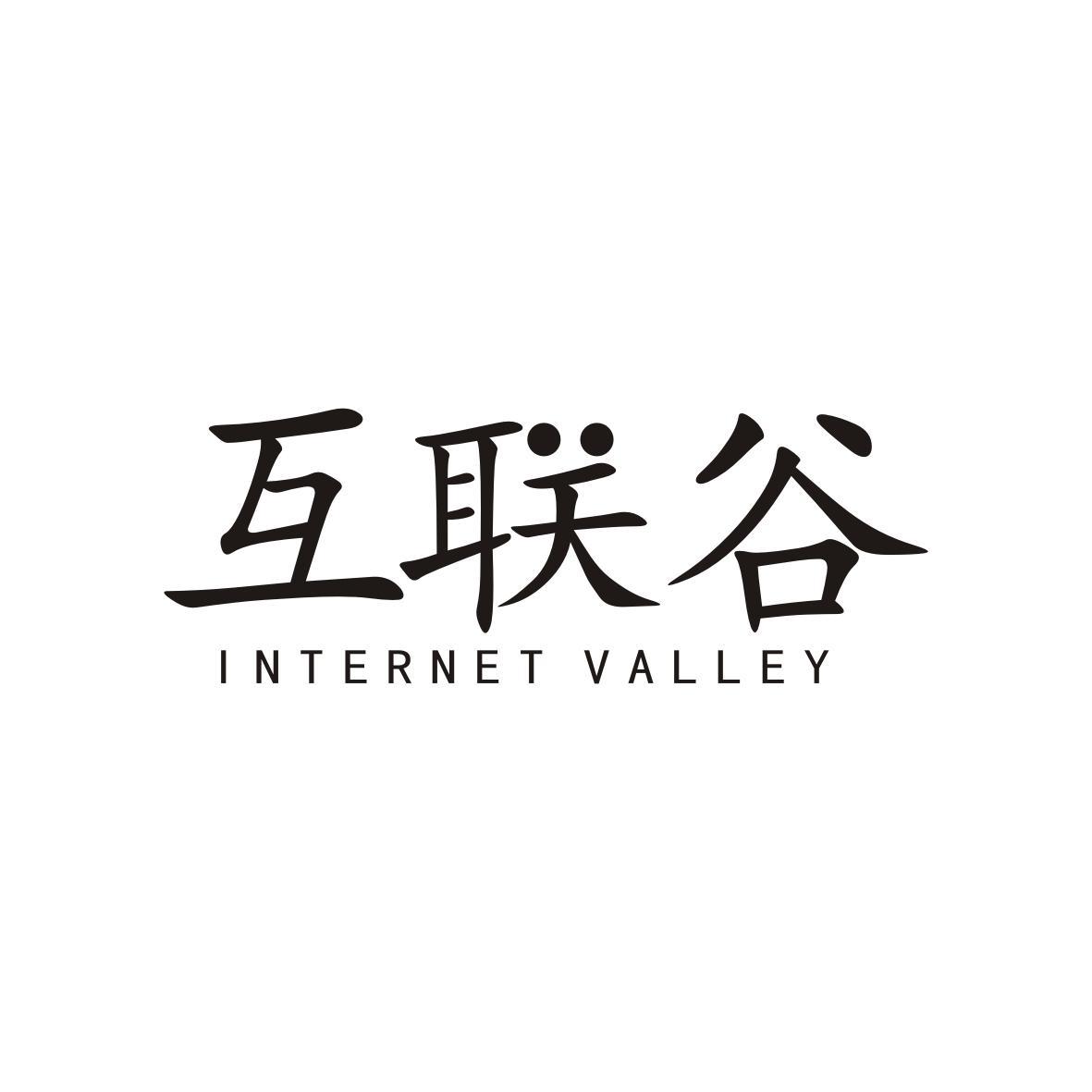 互联谷
INTERNETVALLEY