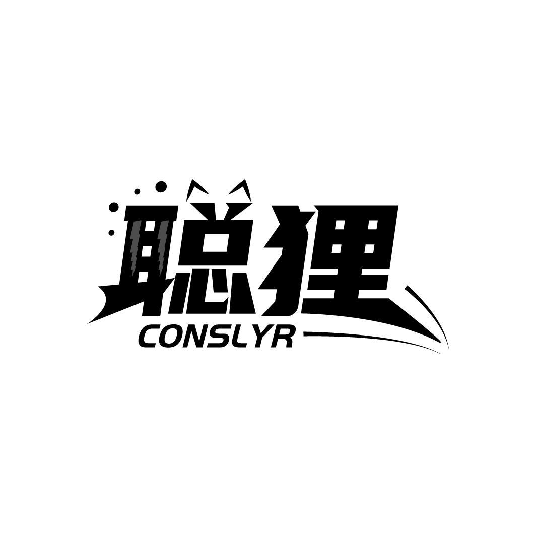 聪狸
CONSLYR