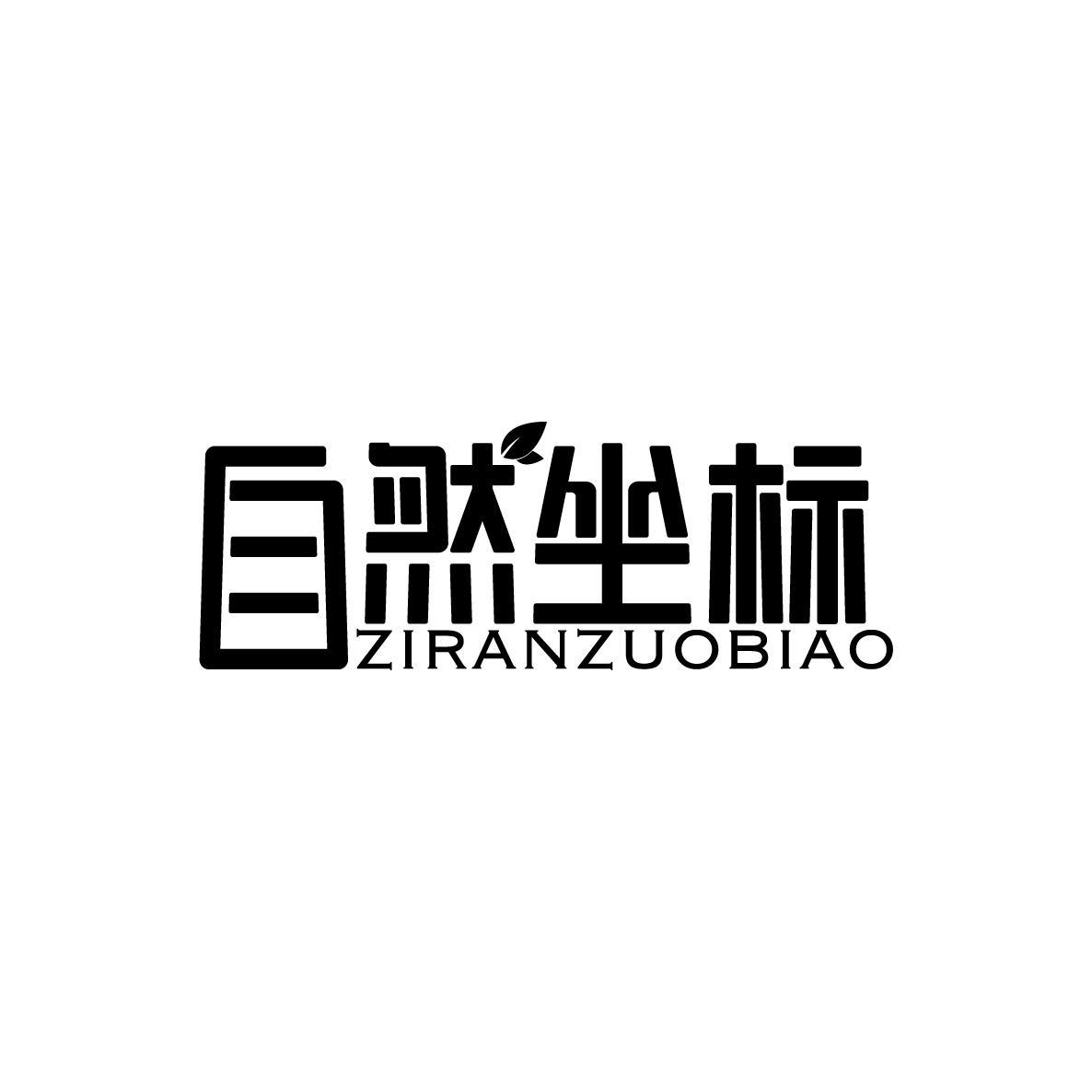 自然坐标ZIRANZUOBIAO