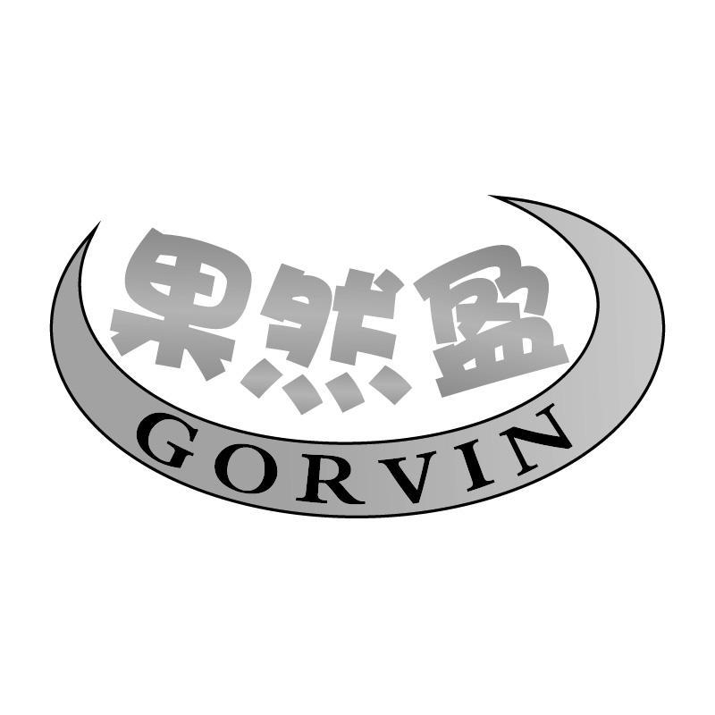 果然盈GORVIN