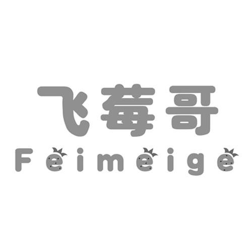 飞莓哥