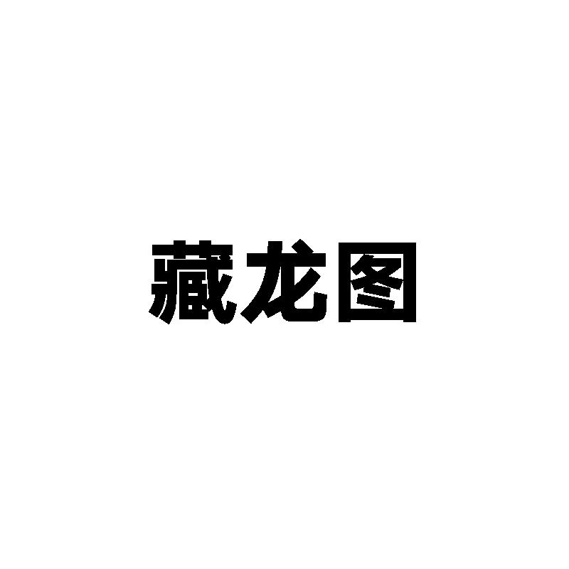 藏龙图