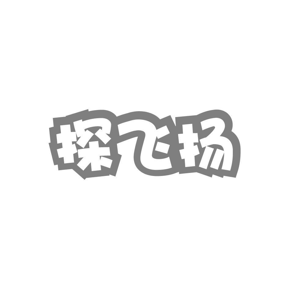探飞扬