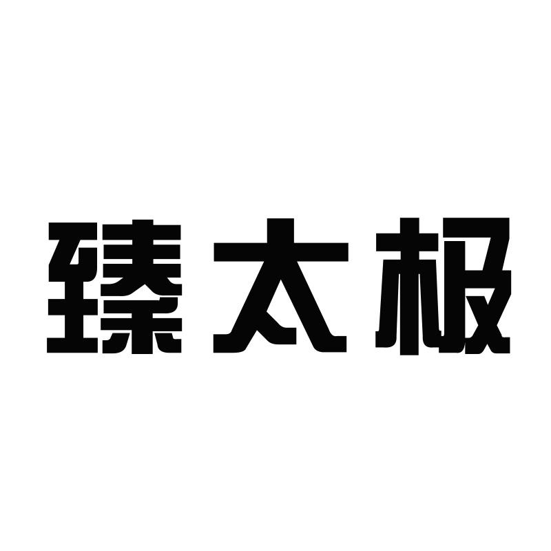 臻太极
