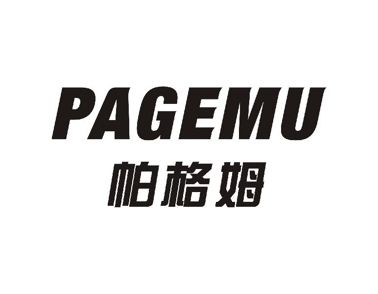 帕格姆