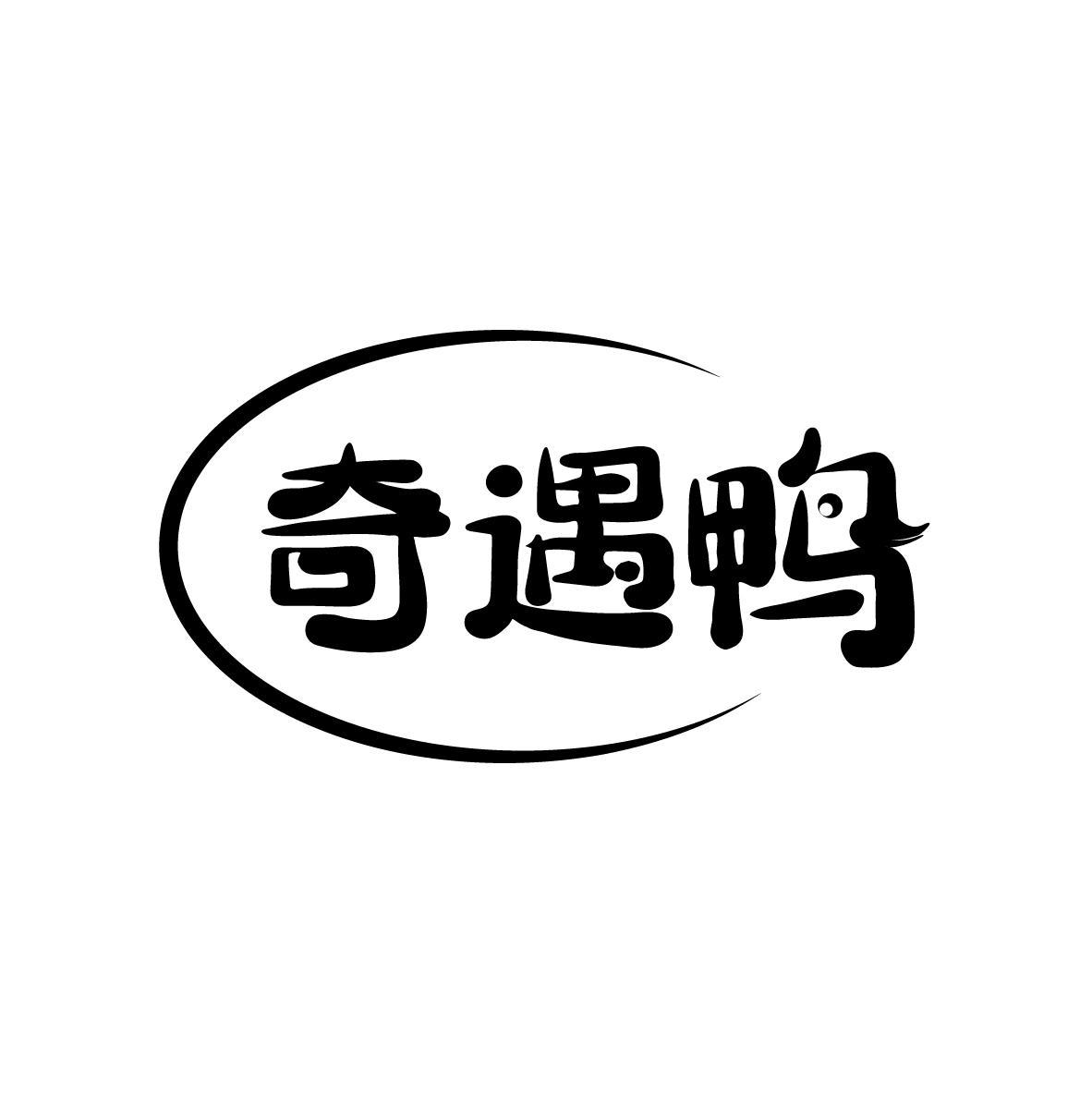 奇遇鸭