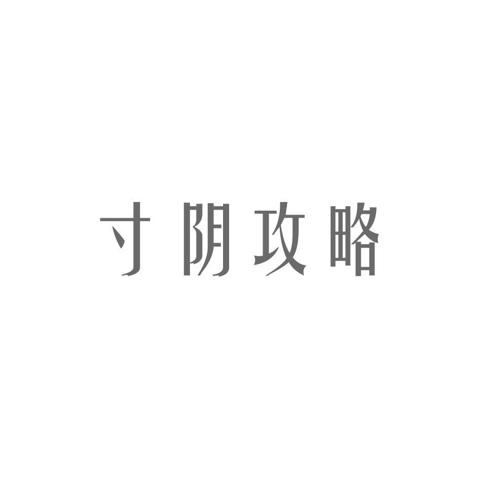 寸阴攻略