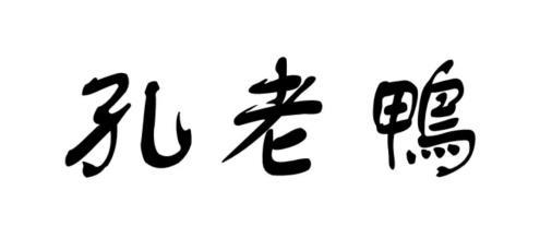 孔老鸭