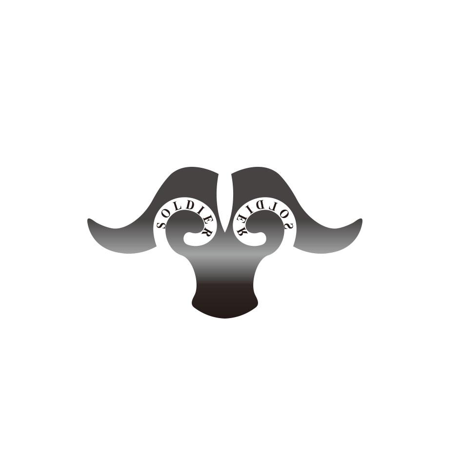 SOLDIER SOLDIER