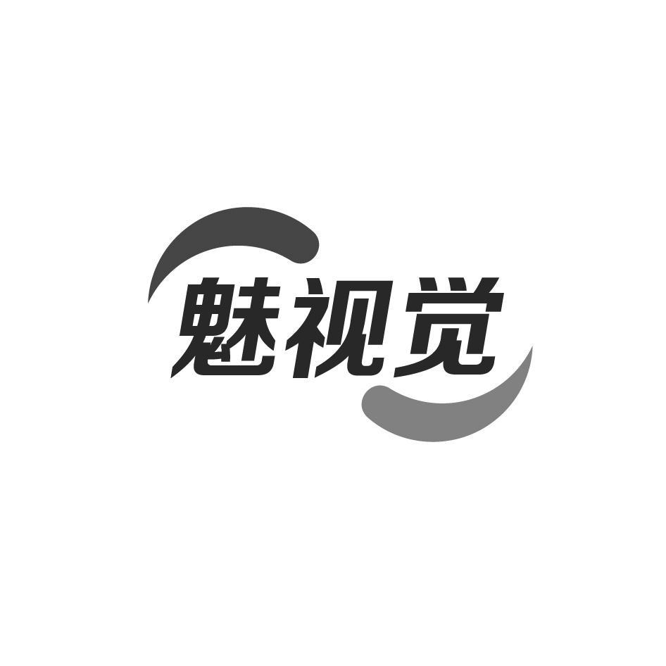 魅视觉