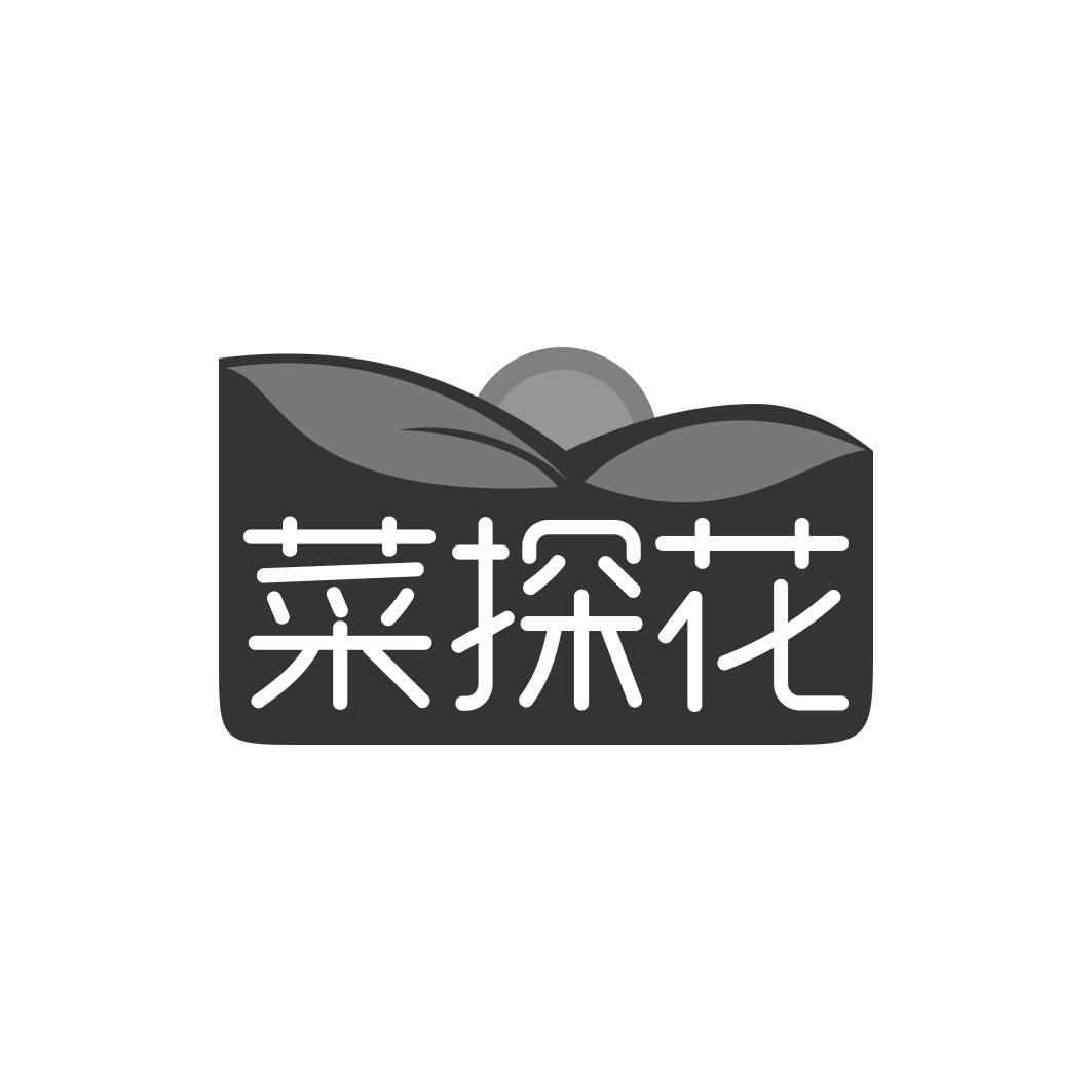 菜探花