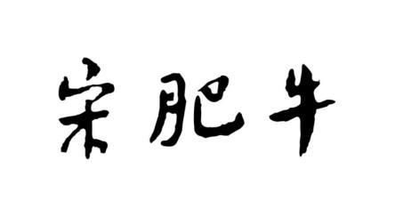 宋肥牛
