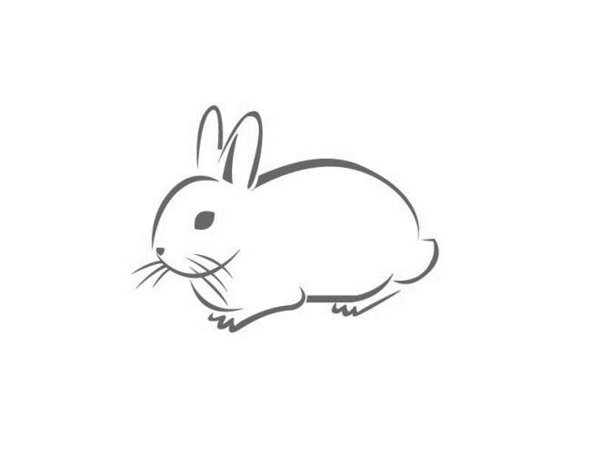 兔子图形