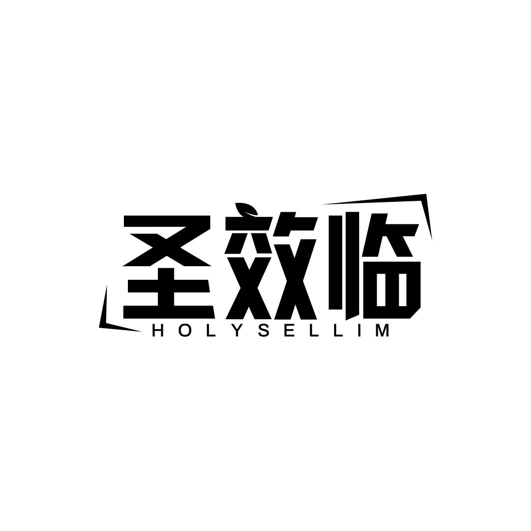 圣效临 HOLYSELLIM